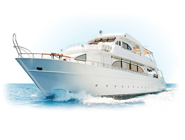 Marine IT GROWING OBJECTIVES